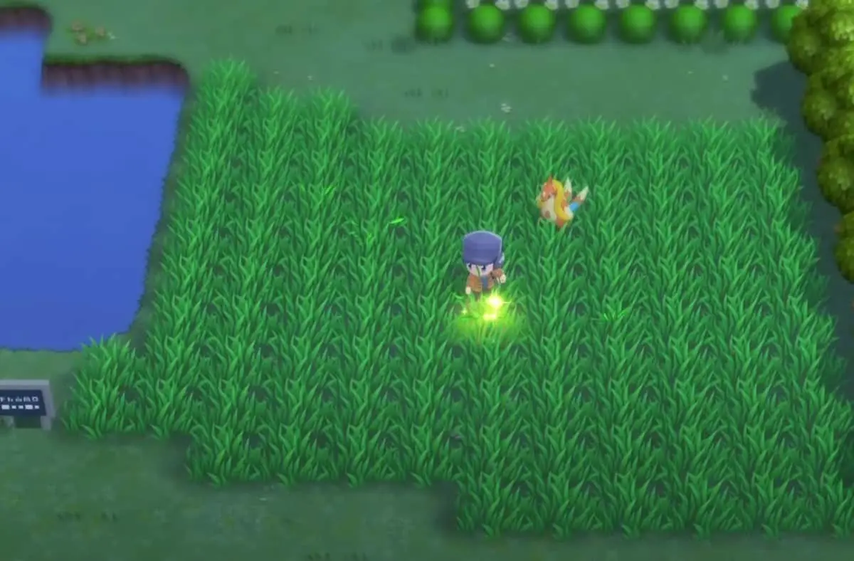 Pokemon BDSP : Guide des éléments de récupération