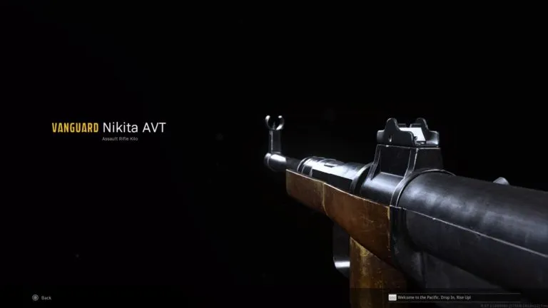 Le meilleur chargement Nikita AVT dans Call of Duty: Warzone