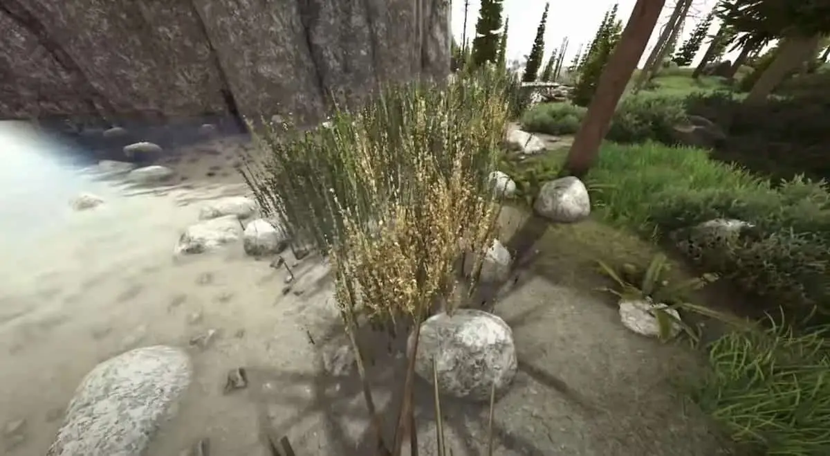 Ark : Emplacements de la soie de Fjordur