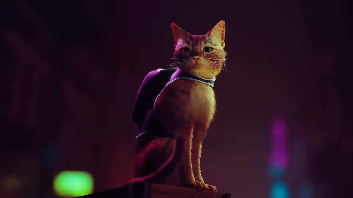 Stray - Guide de tous les emplacements de badges