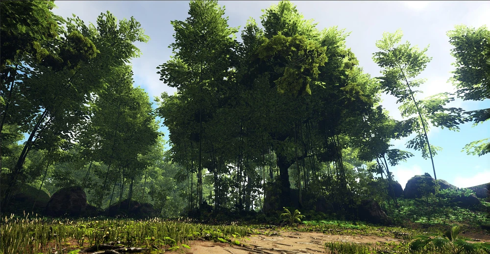 Ark : Valguero - Emplacements des cactus