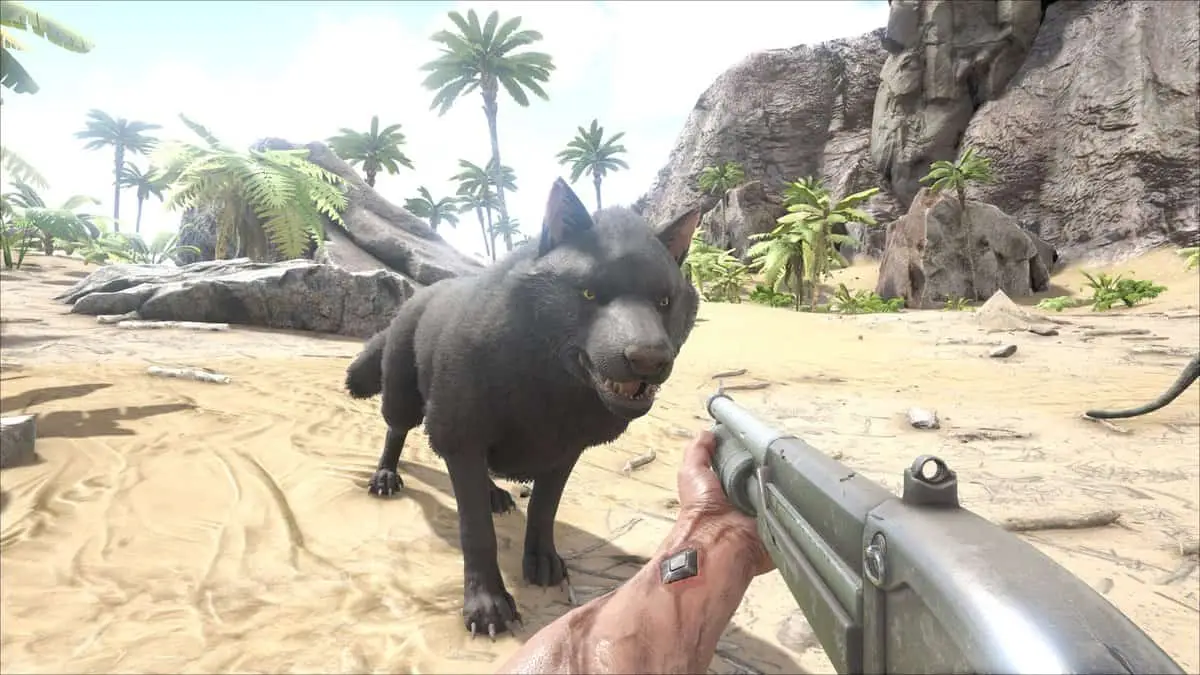 Ark : The Center - Emplacements de l'obsidienne