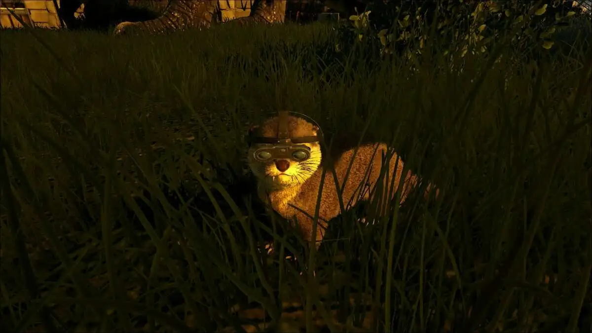 Ark : Valguero - Sites de Beaver Dam