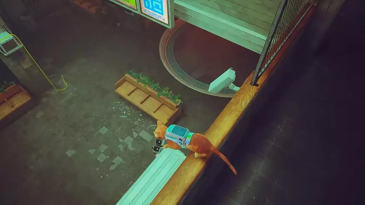 Stray Emplacement des caméras et comment obtenir une cassette Tseret