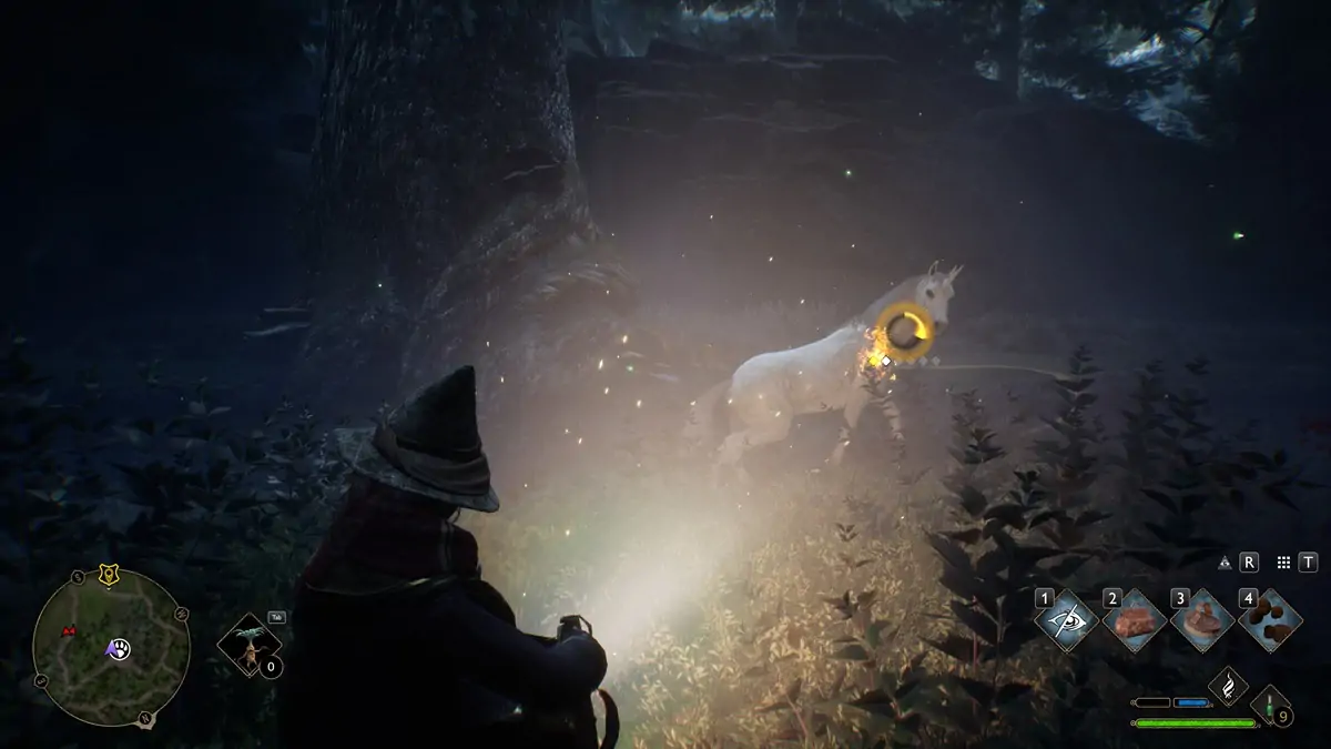 Poudlard Legacy Unicorn Capture Tame Beast 2