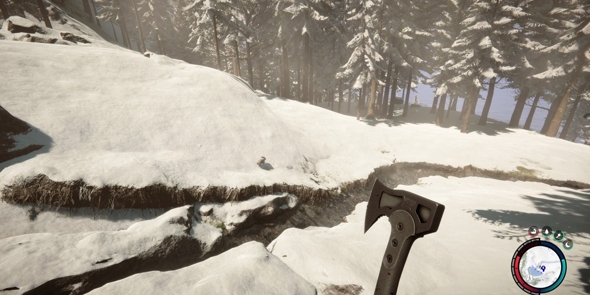 Comment obtenir la veste d'hiver dans Sons of the Forest