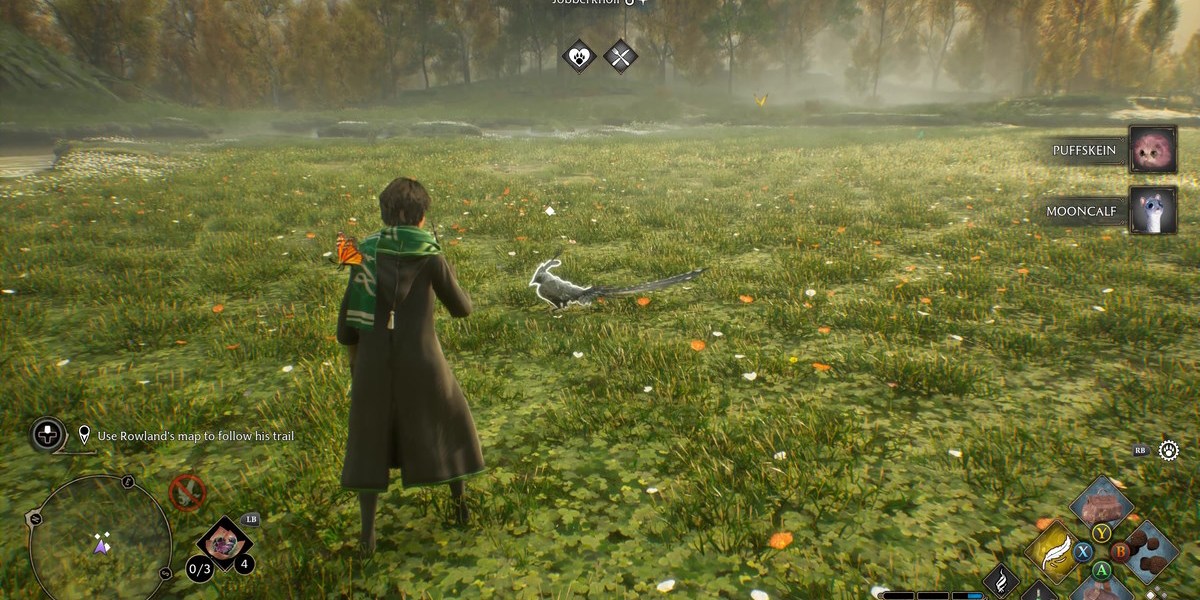 Hogwarts Legacy : Comment améliorer le Vivarium et débloquer plus de biomes