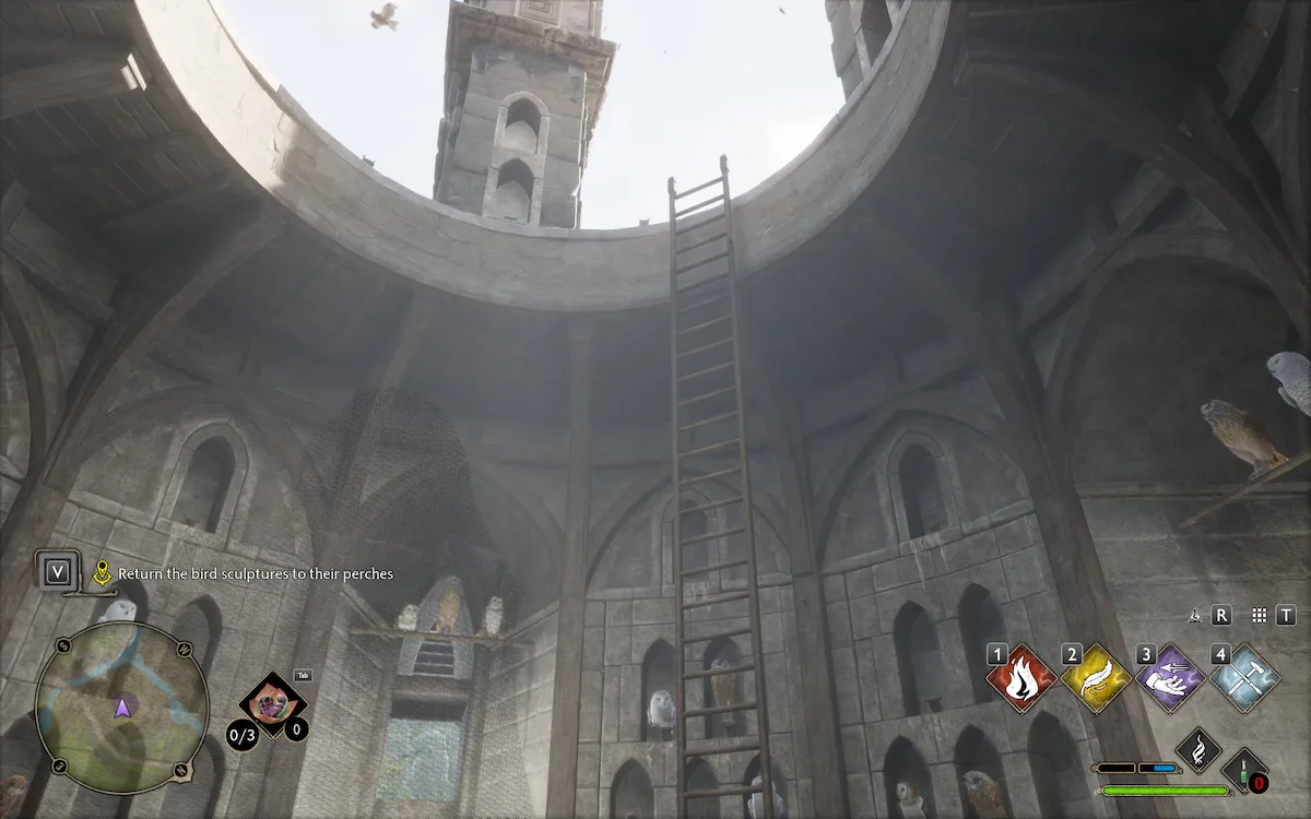 Échelle de la volière