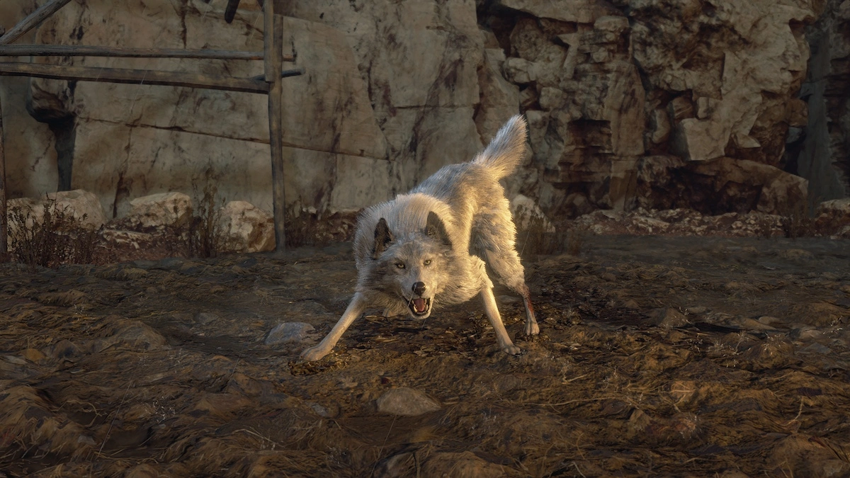 Pourrez-vous sauver le chien dans le remake de Resident Evil 4 ?