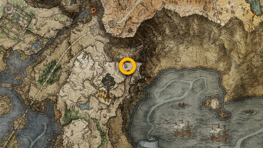 Carte Black Knife Assassin dans Elden Ring