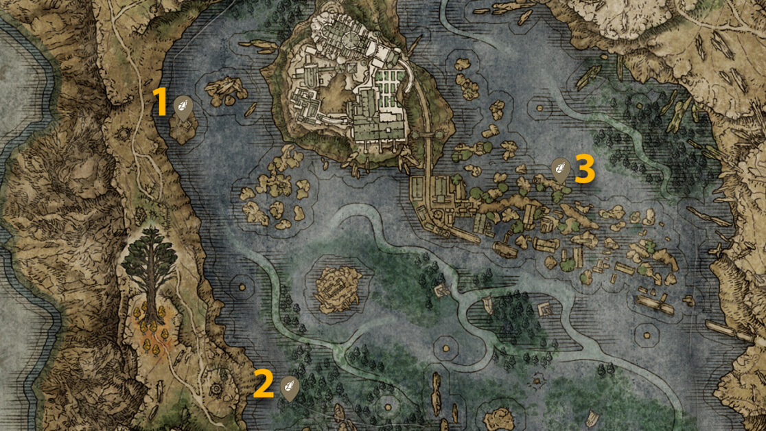 The Lake Somber Smithing Stone 2 Emplacements de la carte Scarab dans Elden Ring