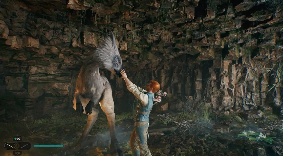 Nekko dans Star Wars Jedi Survivor