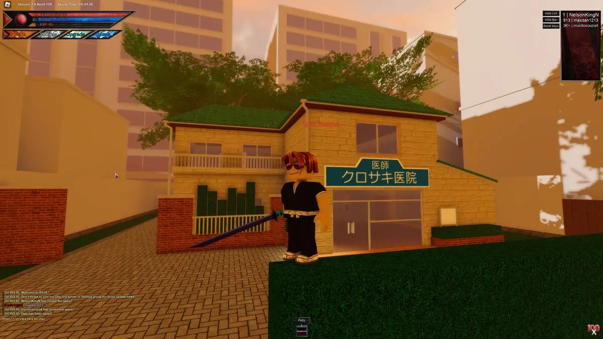 Roblox Bleach âme de la fin