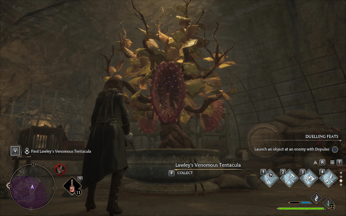 Tentacules de cave
