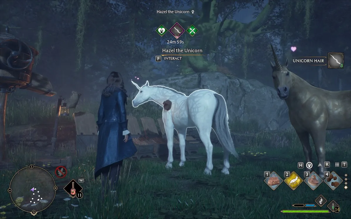 Comment compléter l'unique vivarium Unicorn Hazel