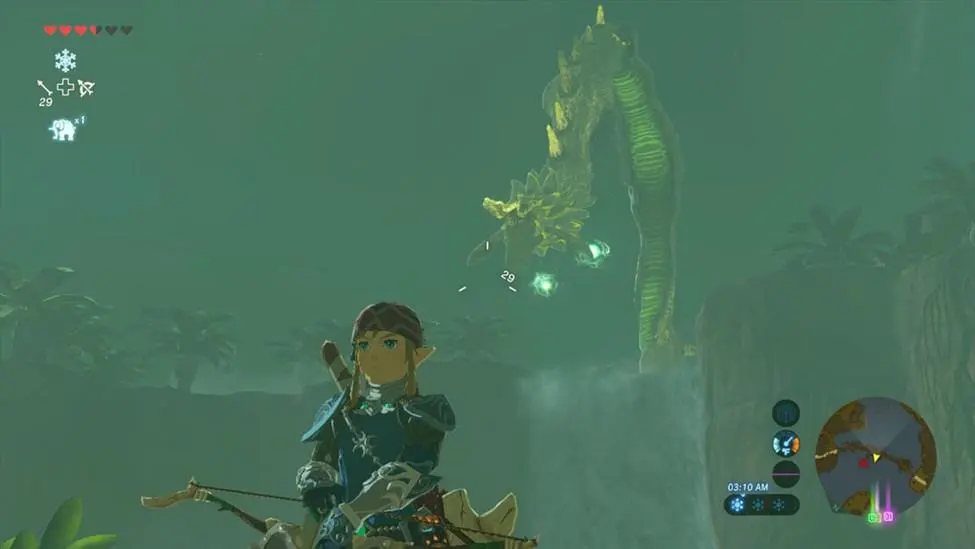 zelda en bas de l'échelle de Farosh