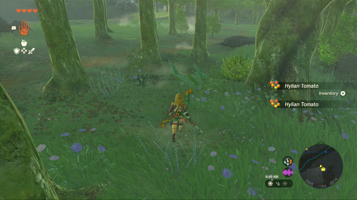 Meilleures façons de gagner de l'argent dans Tears of the Kingdom