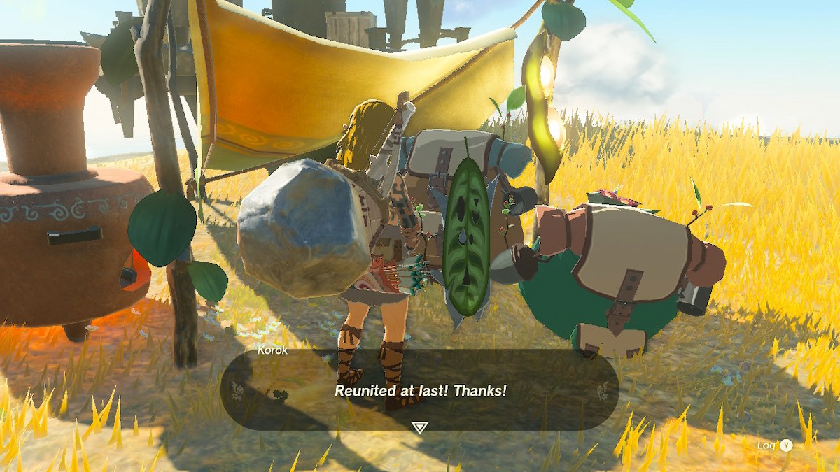 Les Koroks In Tears Of The Kingdom ont-ils répondu à Korok Pals