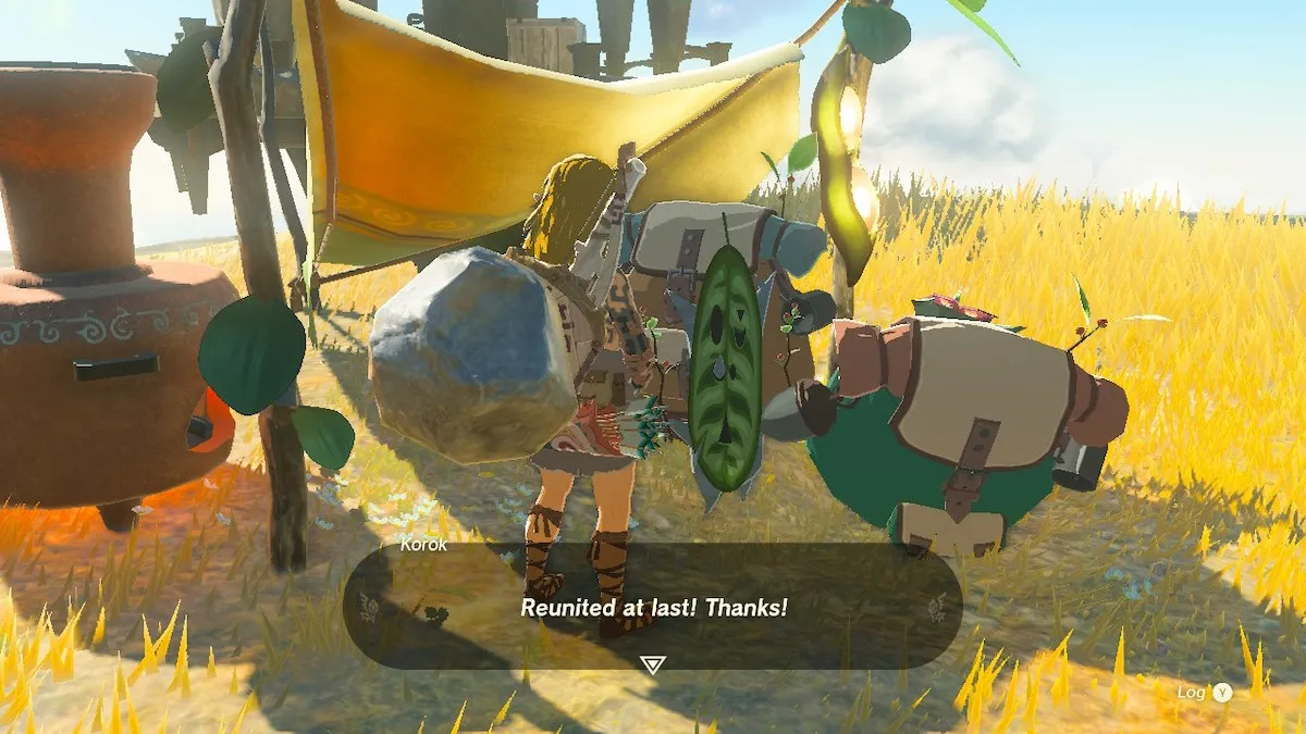 Les Koroks In Tears Of The Kingdom ont-ils répondu à Korok Pals