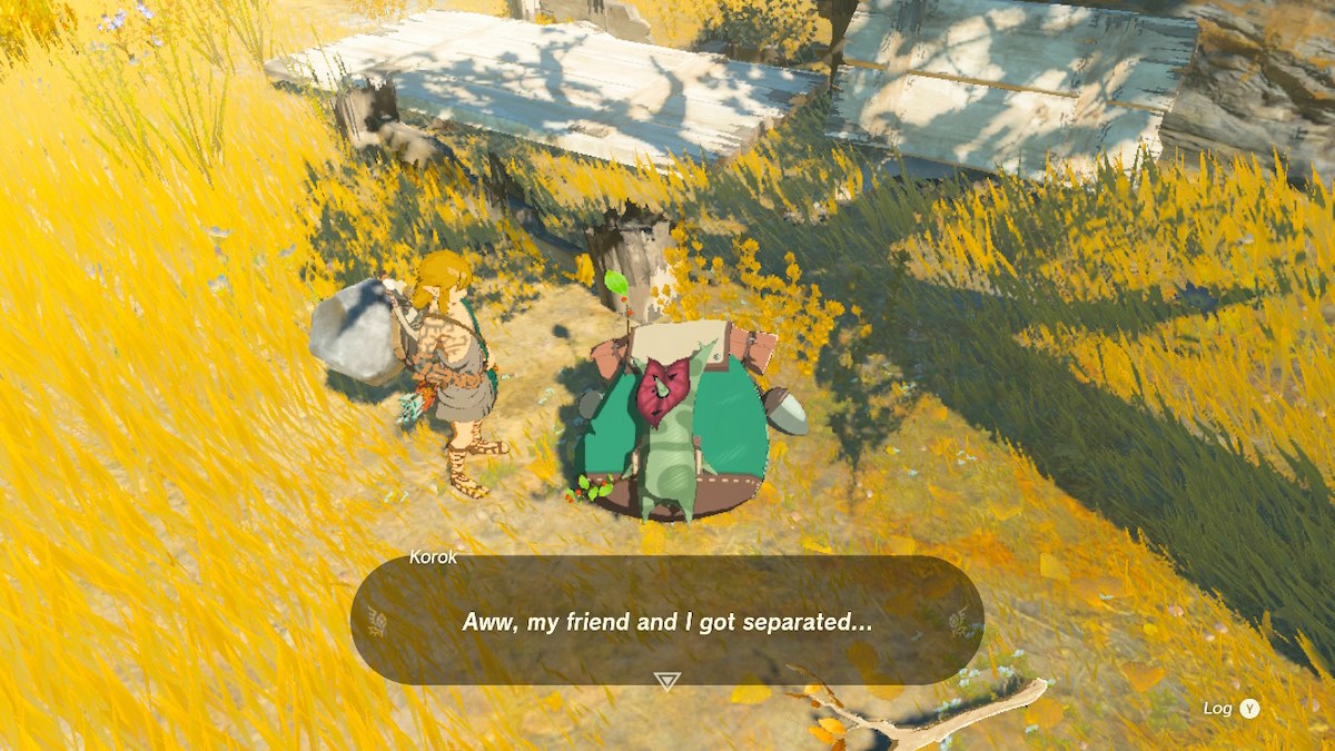 Les Koroks sont-ils dans les larmes du royaume, a répondu Korok