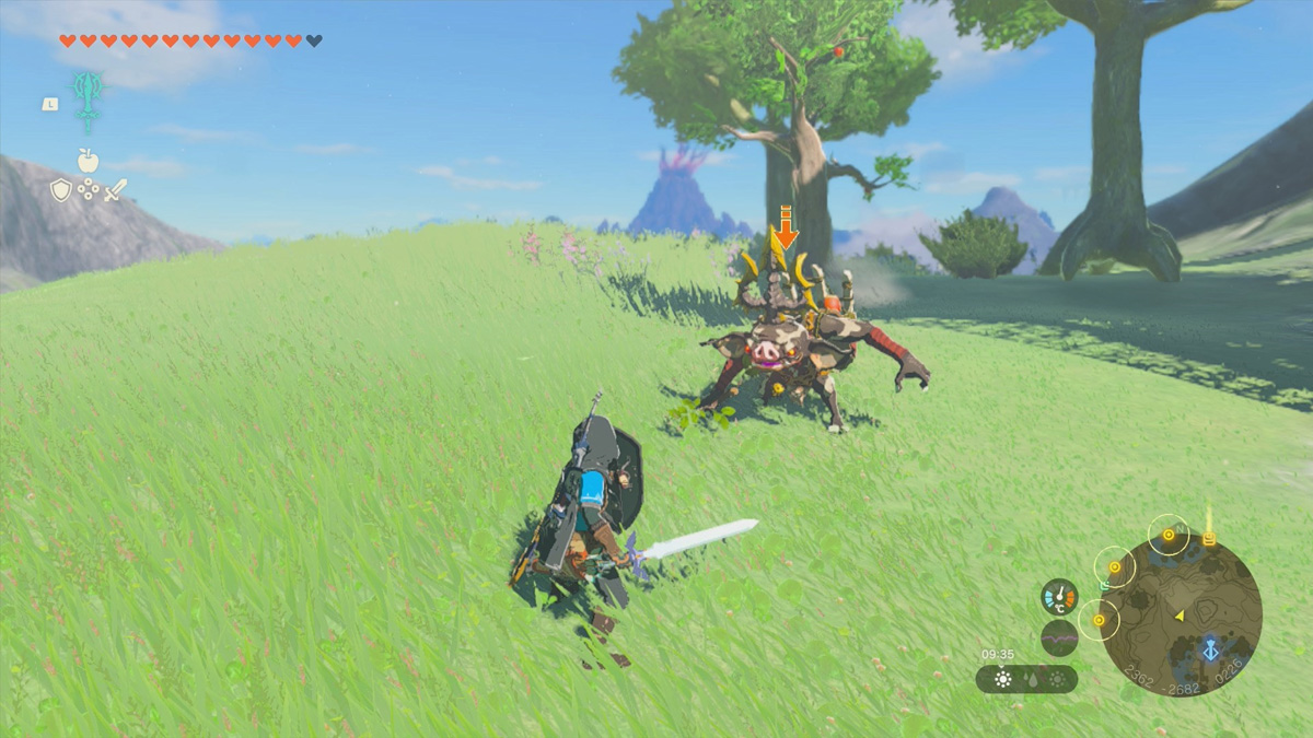 Ennemi bokoblin noir