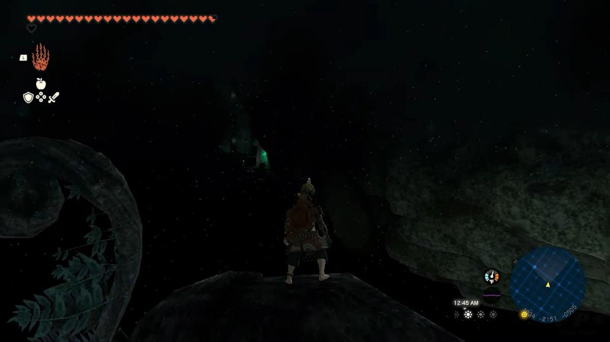 Cime de l'arbre de dépôt de la jambe droite dans Zelda TotK