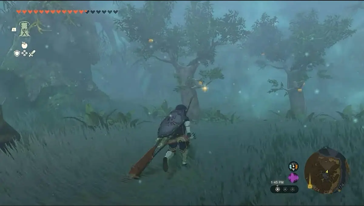 Arbres aux pommes d'or dans Zelda TotK