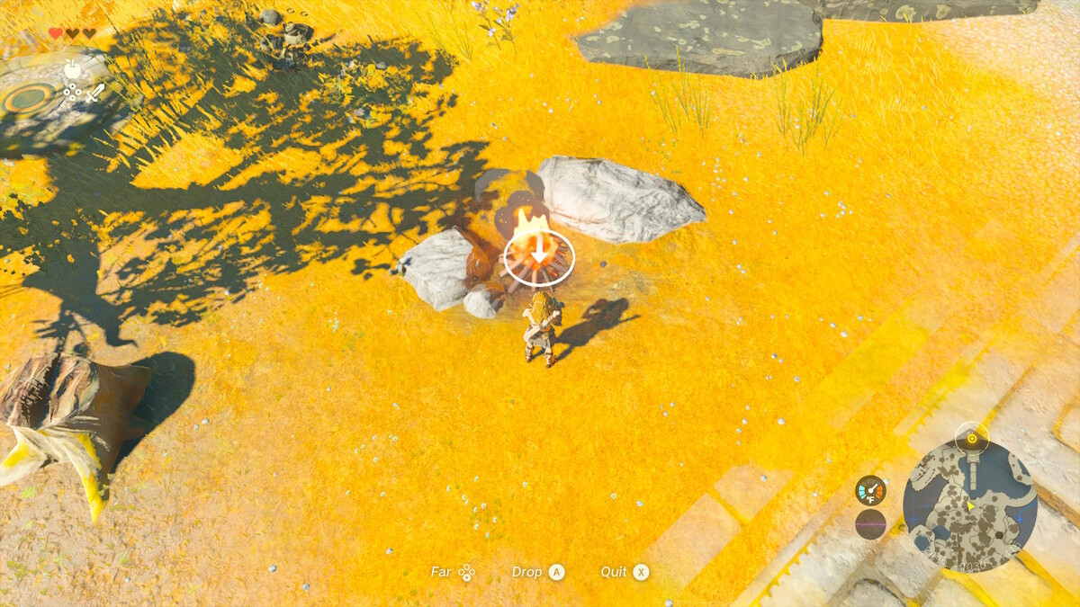 Zelda Tears Of The Kingdom cuisiner des aliments