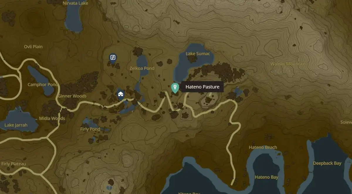 Zelda: Tears Of The Kingdom Emplacements et cartes des écuries