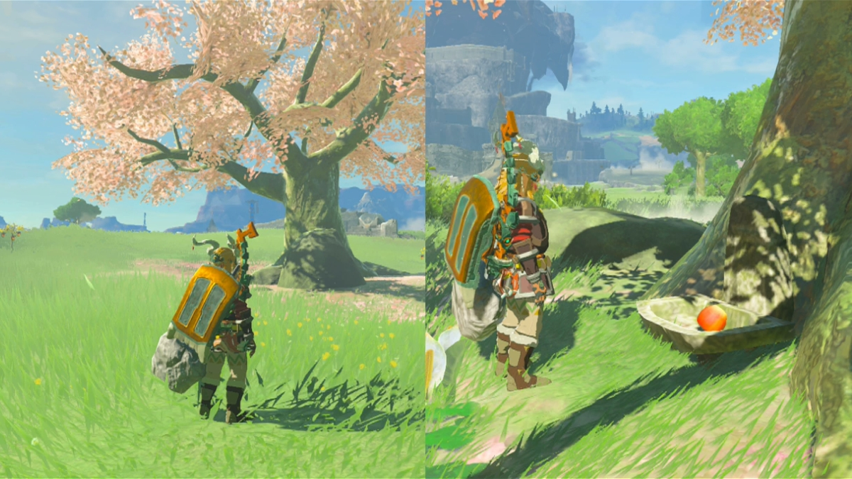 Totk Mystic Armor Cherry Blossom Tree And Apple Offrande