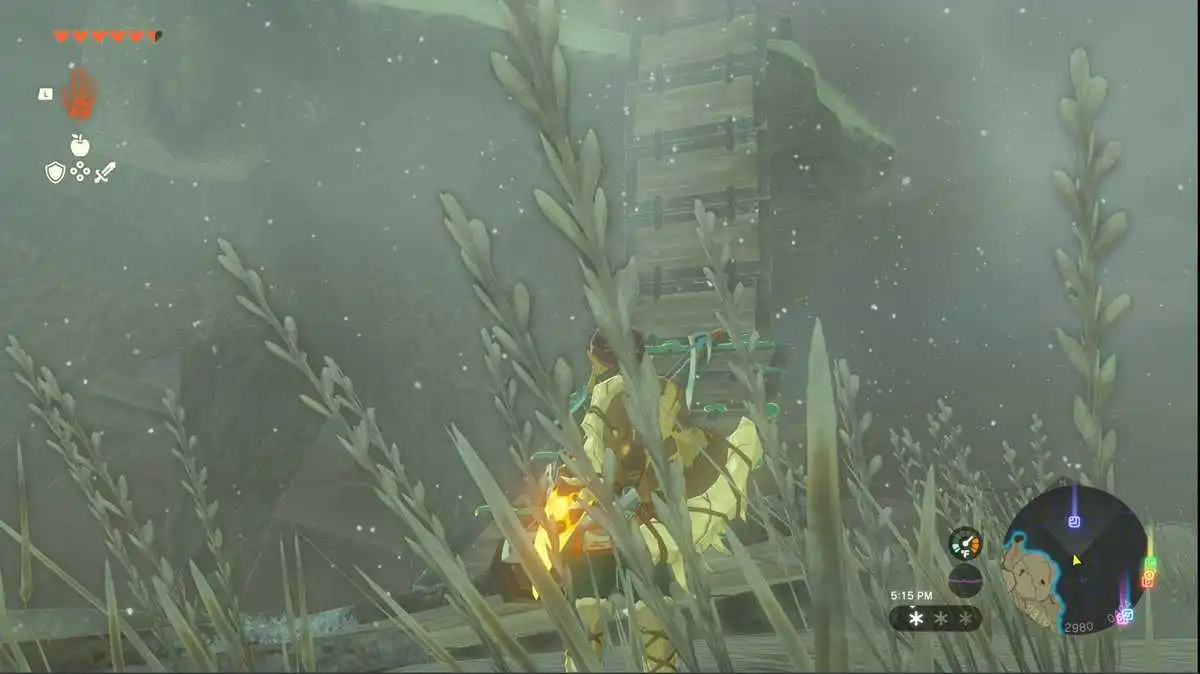 zelda totk pikida stonegrove skyview towe