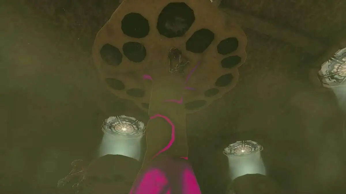zelda totk vaincre la reine gibdo