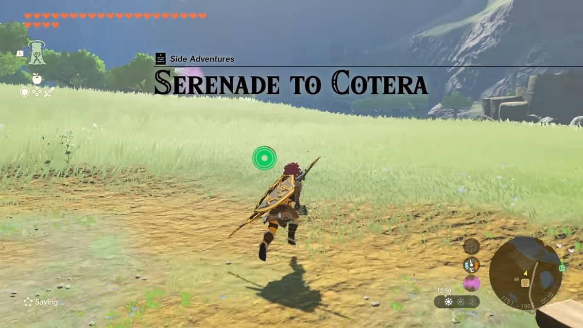 Sérénade à Cotera - Zelda : Tears Of The Kingdom