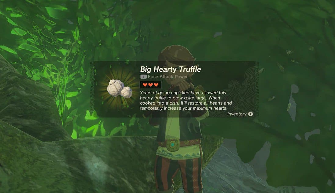 Plan du joueur de flûte - Zelda: Tears Of The Kingdom