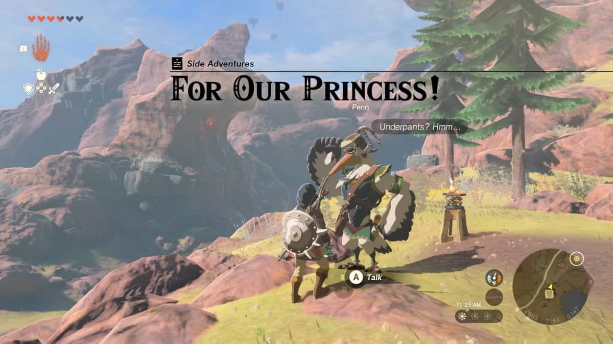 Pour notre princesse - Zelda : Tears Of The Kingdom