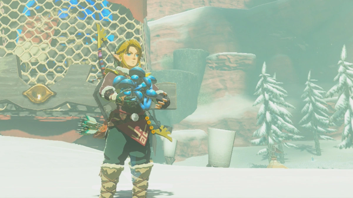 Zelda : Tears of the Kingdom : Où trouver et cultiver des Chillshrooms
