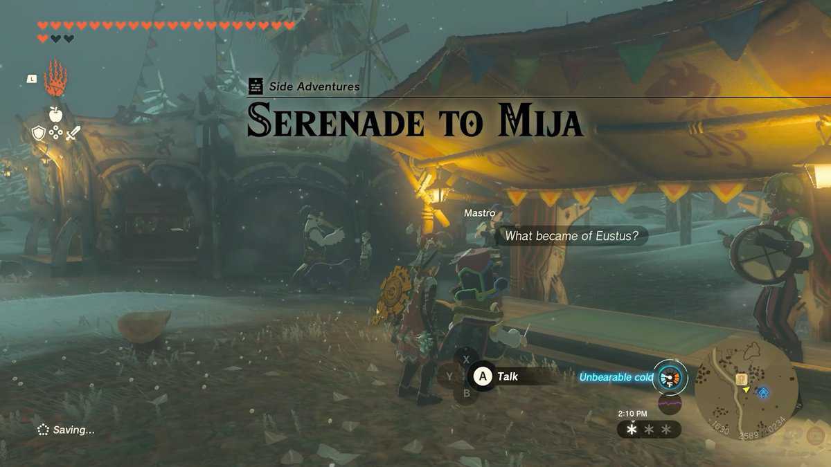 Sérénade à Mija - Zelda : Tears Of The Kingdom
