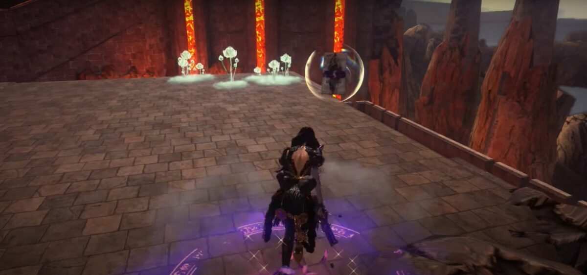 Emplacements des packs de cartes Bayonetta 3