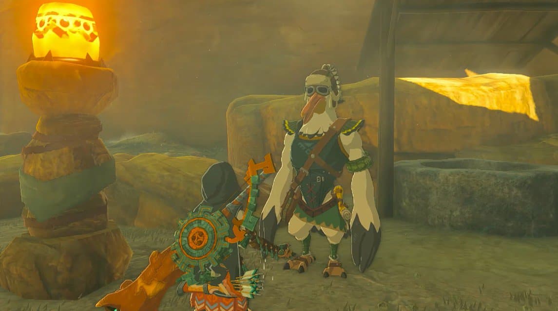 Puits bouché - Zelda: Tears Of The Kingdom
