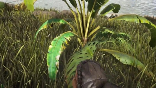 Emplacements de Savoroot - Ark Survival Evolved