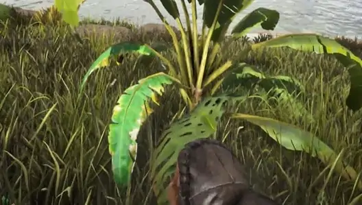 Emplacements de Savoroot - Ark Survival Evolved