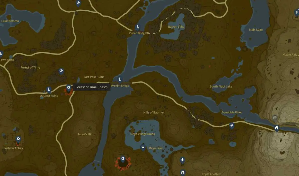 Emplacement de Zelda Tears of the Kingdom Forest of Time Gouffre