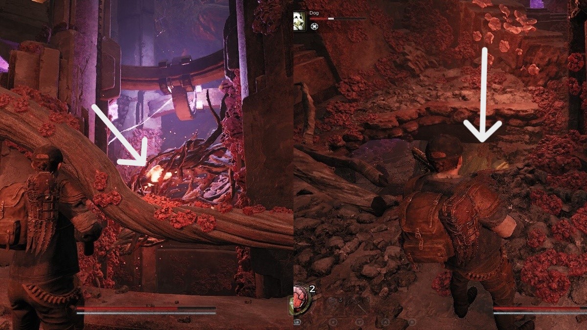 Chemin bloqué The Chimney Dungeon Remnant 2