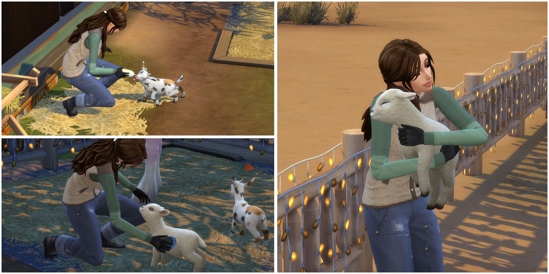 Les Sims 4: Vie au Ranch - Comment obtenir des agneaux et des chevreaux