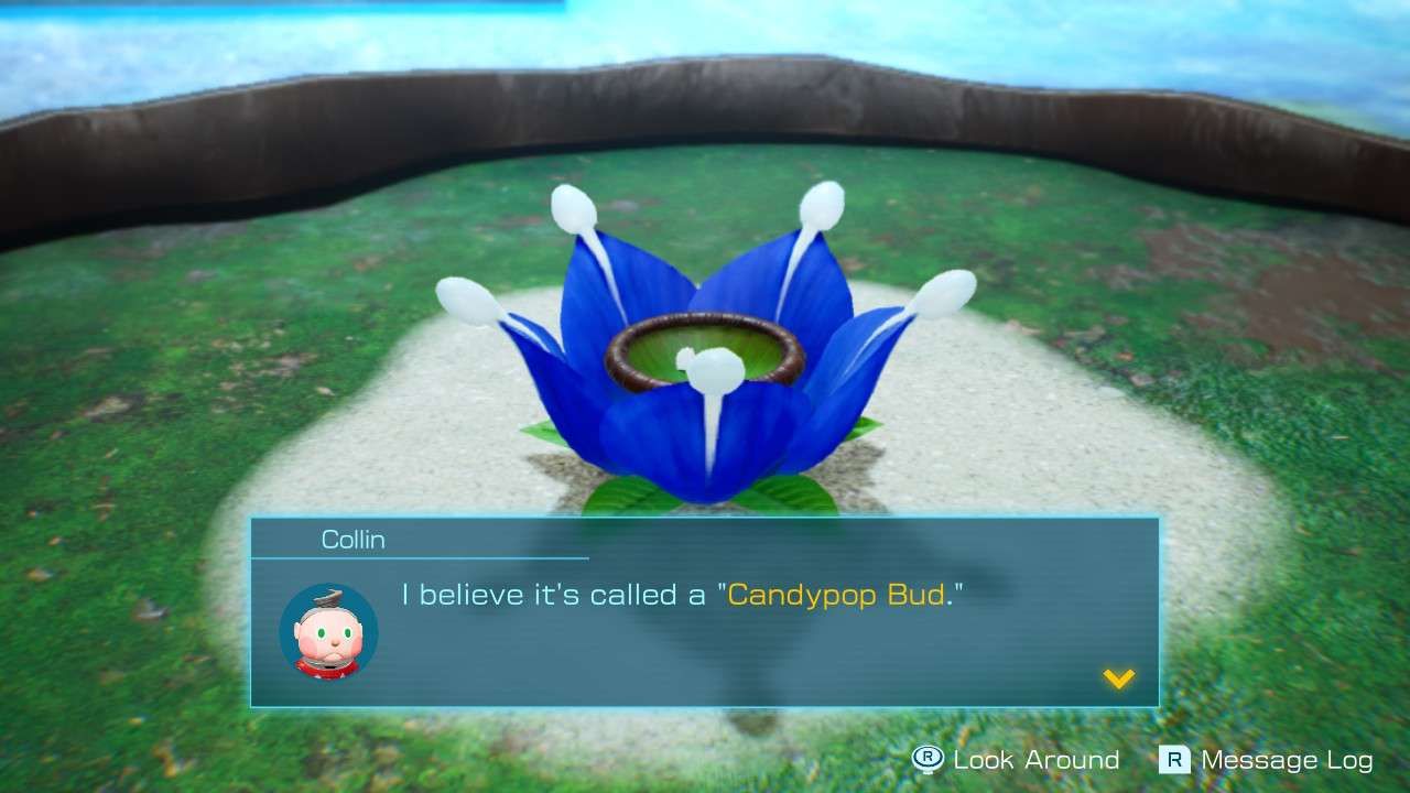 Pikmin 4 Candypop Bud