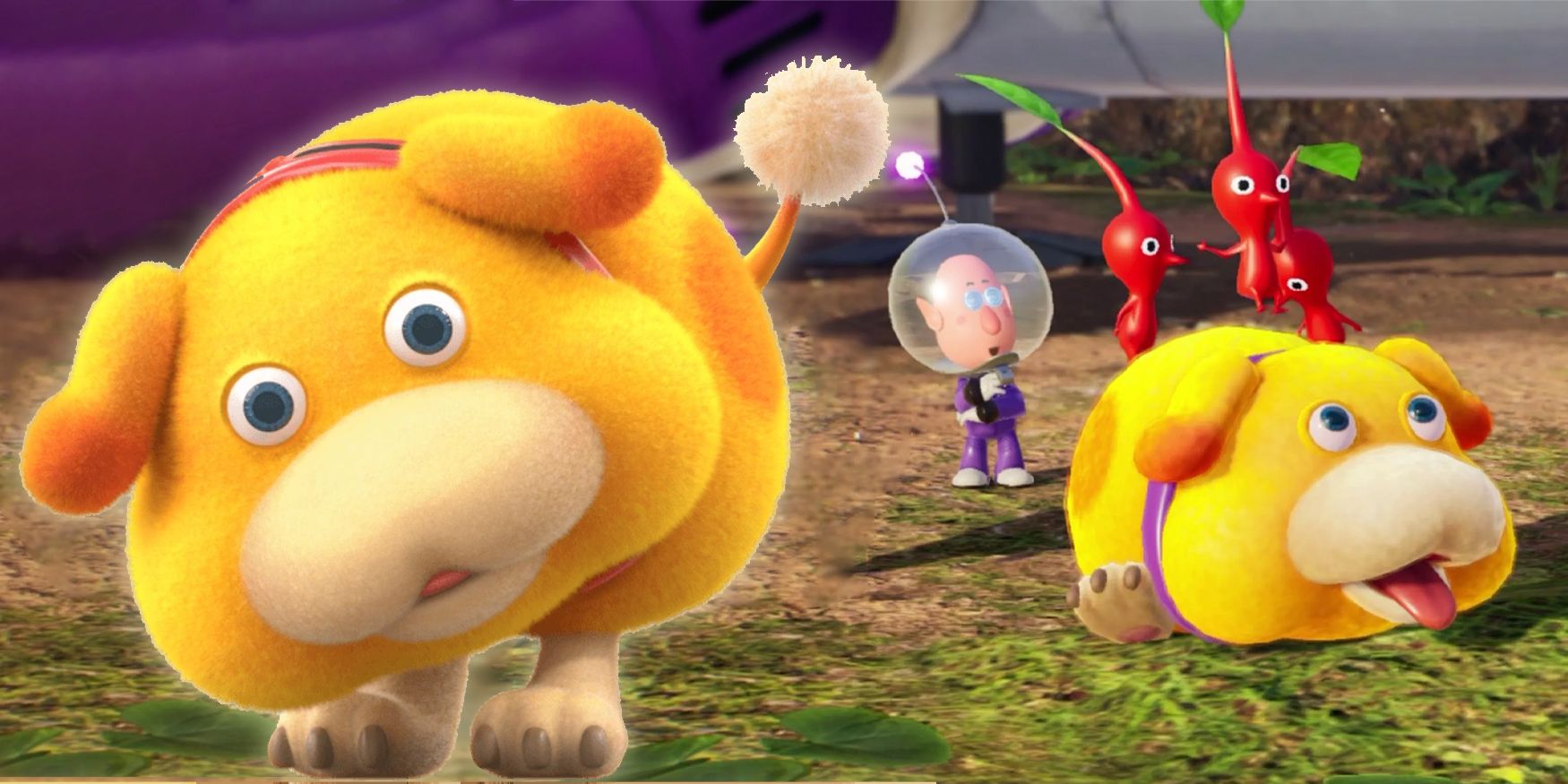 Pikmin 4: Comment mettre à niveau Oatchi
