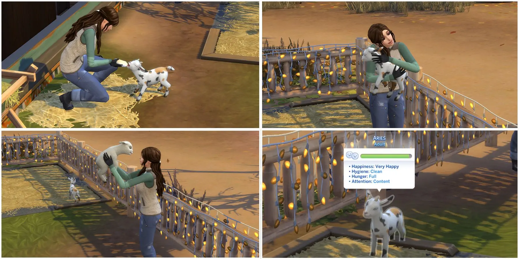 prendre soin des mini chèvres et moutons dans les sims 4