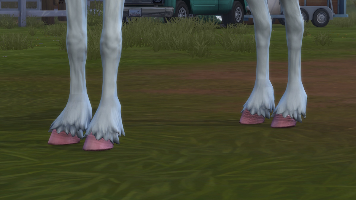 10 meilleurs mods pour les Sims 4 Horse Ranch Hooves