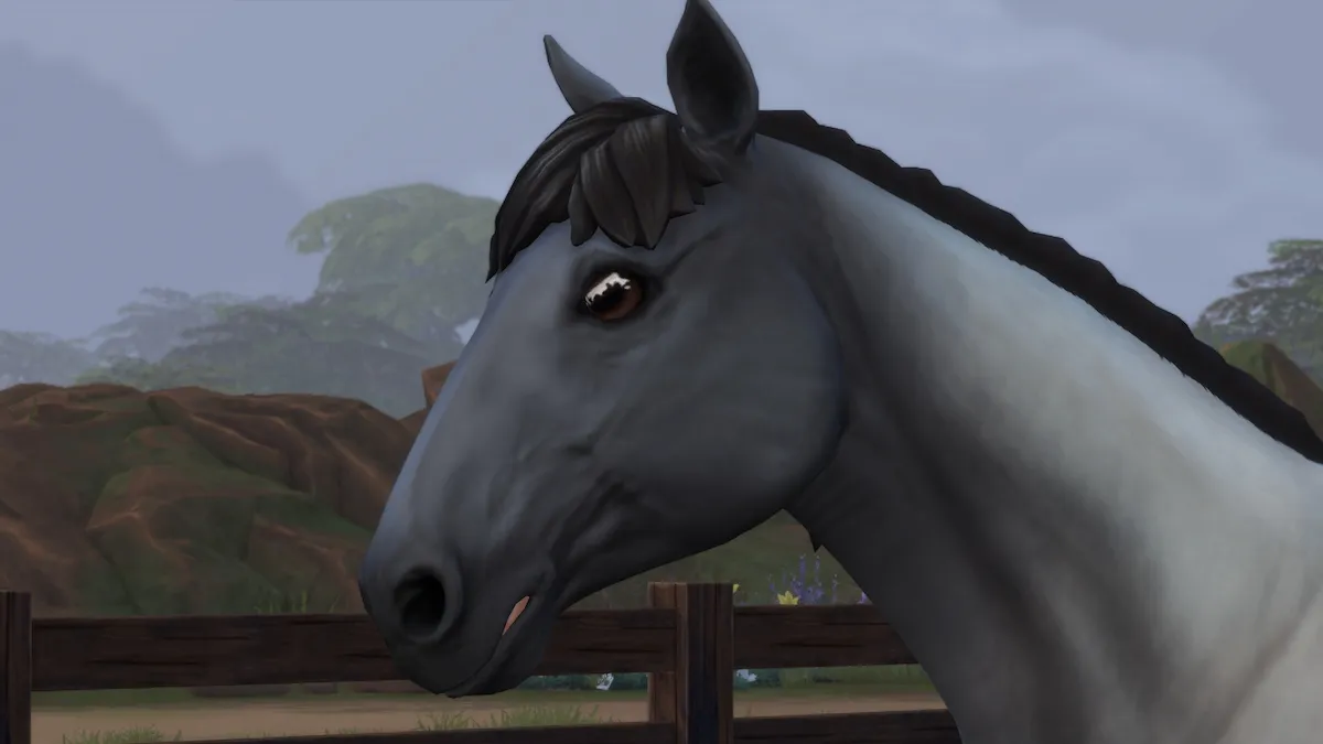 10 meilleurs mods pour les Sims 4 Horse Ranch Mirror Mirror