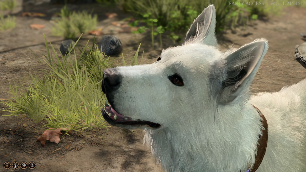 Baldur's Gate 3: Comment obtenir un chien de compagnie